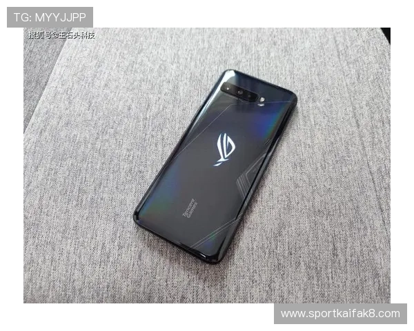 凯发娱乐手机版会员登录流程详解帮助玩家快速顺利进入游戏体验