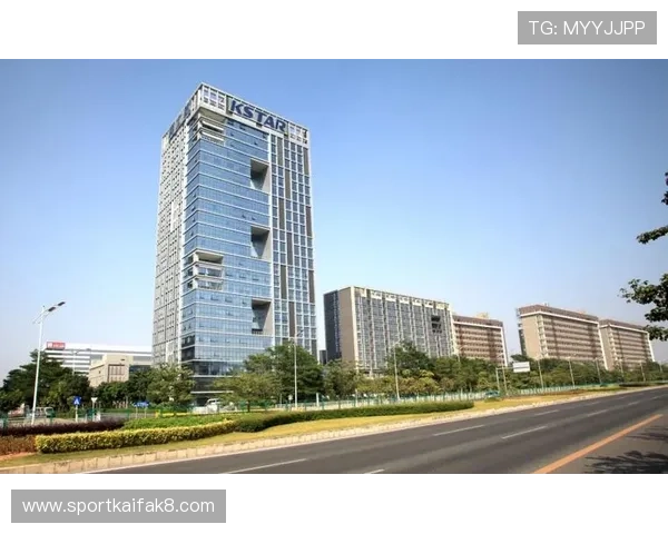 凯发k8官网入口官方最新入口地址,确保用户快速安全访问平台